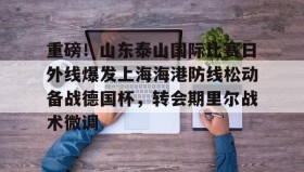 多米体育APP-重磅！山东泰山国际比赛日外线爆发上海海港防线松动备战德国杯，转会期里尔战术微调的简单介绍